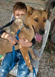 Stella, una dolce compagnia per i bambini