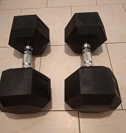 Coppia manubri 20kg 