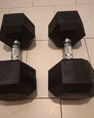Coppia manubri 20kg 