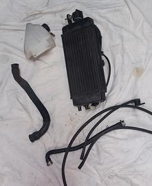 radiatore moto malaguti xsm 125 del 2019