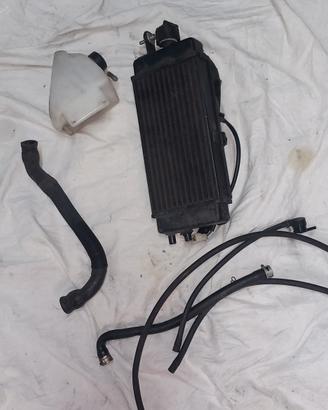 radiatore moto malaguti xsm 125 del 2019