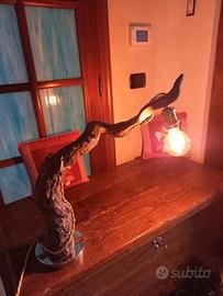 Lampada del mare