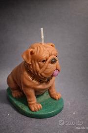 candela buldog inglese