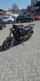 Benelli Leoncino 500