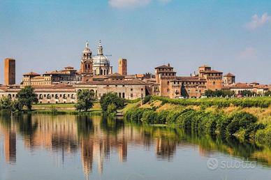 Immobile di 600 m² a Mantova