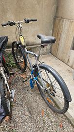 Bicicletta city/trekking