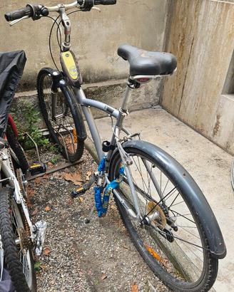Bicicletta city/trekking