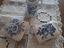 Immagine 1