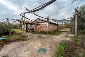 Palestrina: rustico civile abitazione