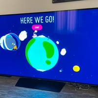 TV oled LG 55 pollici - LEGGI BENE