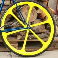 Ruota 28" single speed 6 razze in lega