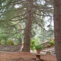 Villa singola immersa nel verde - Ferrazzano