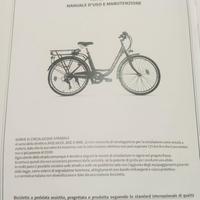 Bicicletta elettrica