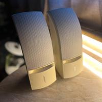 Bose 161
