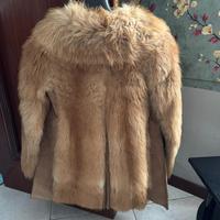 Pelliccia in Castorino