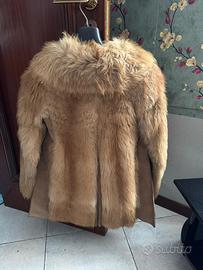 Pelliccia in Castorino