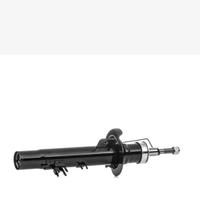 Ammortizzatore dx citroen c3