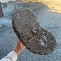 Sgabello da mungitura