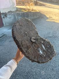 Sgabello da mungitura