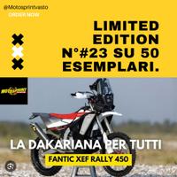 Fantic 450 Rally Factory DAKAR PROMO