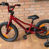 Bicletta bimbo specialized