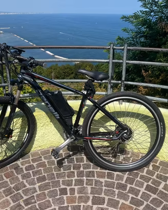 Bici Elettrica MTB