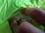 Immagine 2