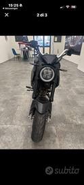lem brutus 110