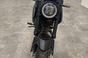 lem brutus 110