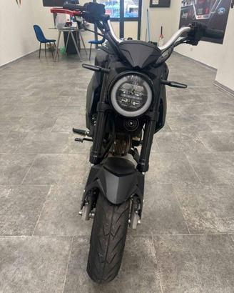 lem brutus 110