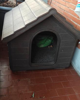  Cuccia Cane taglia media 