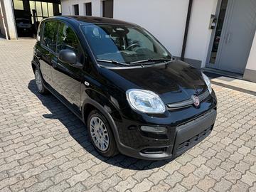 Fiat Panda 1.0 FireFly S&S Hybrid Pandina