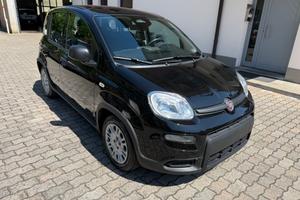 Fiat Panda 1.0 FireFly S&S Hybrid Pandina