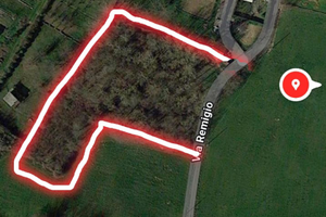 Terreno boschivo pioppeto