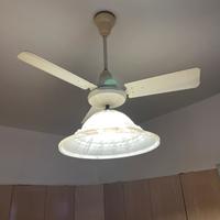 Ventilatore da soffitto con lampadario