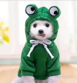 Costume rana