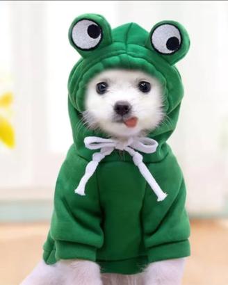 Costume rana