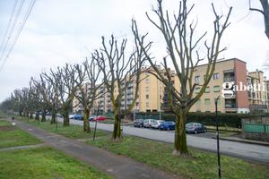 Appartamento - Muggiò