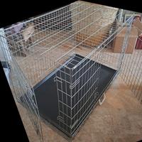 trasportino per cani