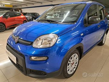 FIAT Panda III 2021 - Panda 1.0 firefly hybrid s&s