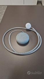 Google home mini