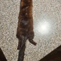 collo in pelliccia di ermellino 