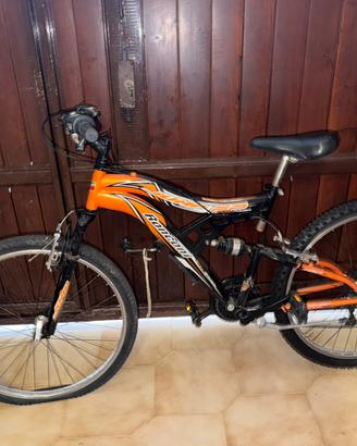 Bici moutain bike