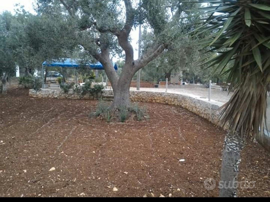 TERRENO a Carovigno ,Puglia, - Vista 4