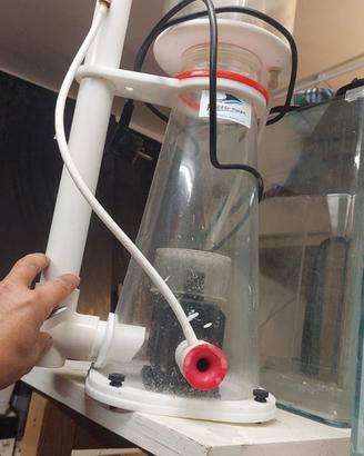 Schiumatoio bubble magus nac 7