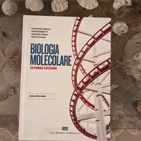 Biologia Molecolare Amaldi