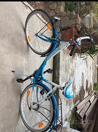 Bicicletta Lombardo da passeggio con portapacchi