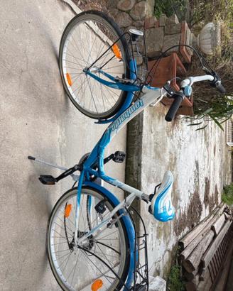Bicicletta Lombardo da passeggio con portapacchi