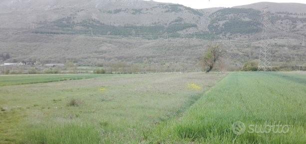 Terreno Agricolo Celano