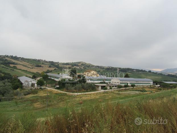 Azienda Agricola - Castel di Lama